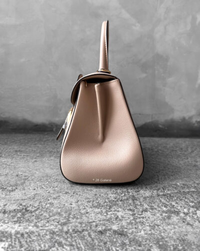 Delvaux Sirocco Brillant Mini in Rodeo Calfskin Leather and Gold Hardware