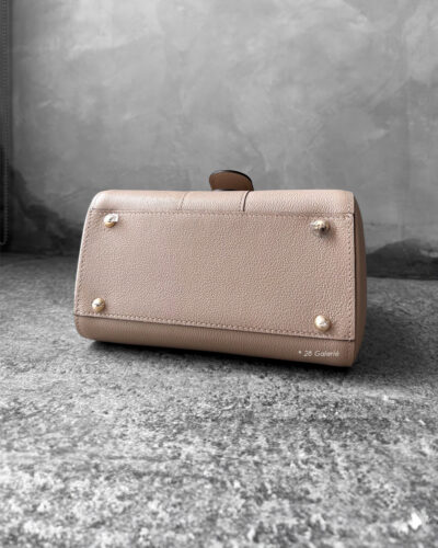 Delvaux Sirocco Brillant Mini in Rodeo Calfskin Leather and Gold Hardware